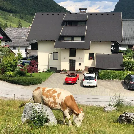 Apartment In The Heart Of Nature Bohinj Exterior photo