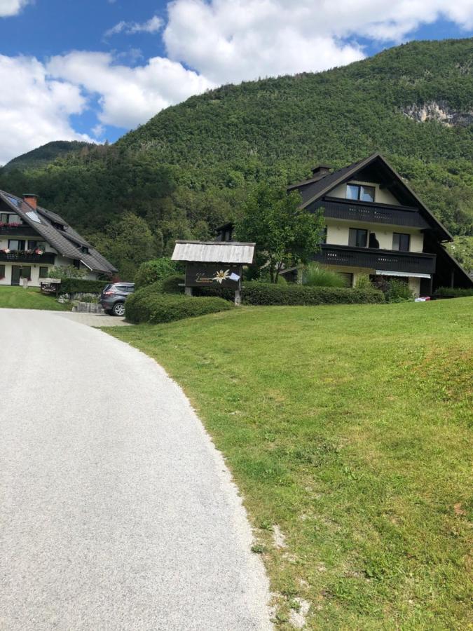 In The Heart Of Nature * Bohinj